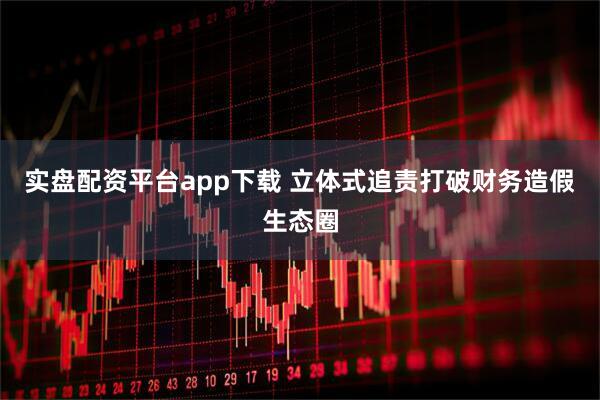 实盘配资平台app下载 立体式追责打破财务造假生态圈