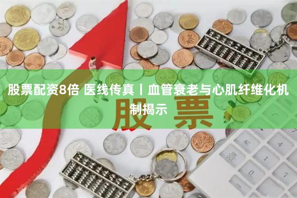 股票配资8倍 医线传真丨血管衰老与心肌纤维化机制揭示