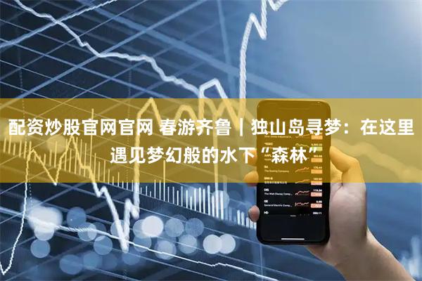 配资炒股官网官网 春游齐鲁｜独山岛寻梦：在这里 遇见梦幻般的水下“森林”